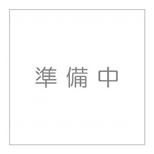 ステン 小ネジ 3x6【P錠用】(20本入)